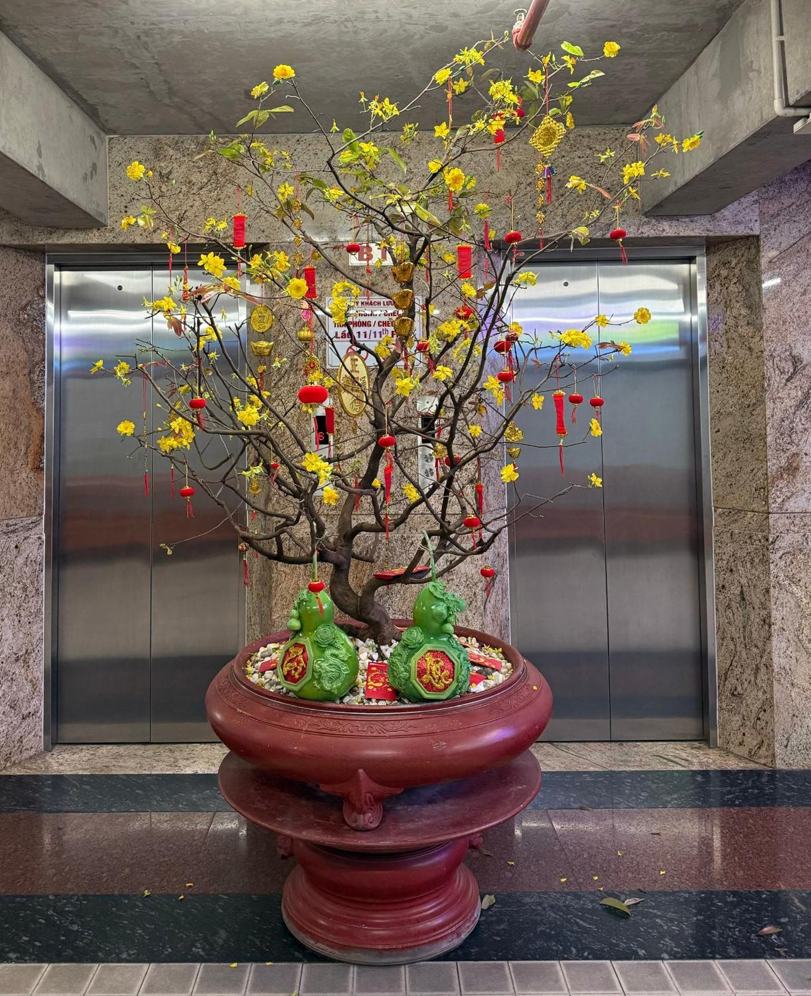 Thien Tai Hotel Πόλη Χο Τσι Μινχ Εξωτερικό φωτογραφία
